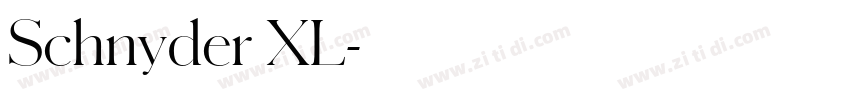 Schnyder XL字体转换